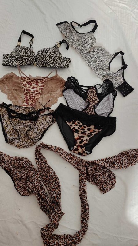 Photo gallery from 20250919, image 7