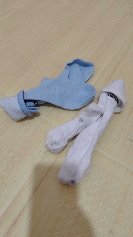 Photo gallery from 20251024, image 1