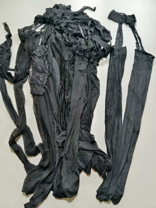 Photo gallery from 20250815, image 5