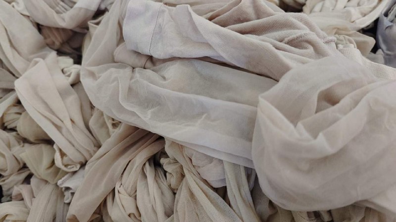 Photo gallery from 20230909, image 2