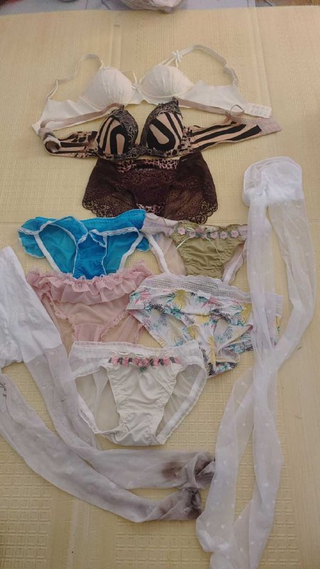 Photo gallery from 20250804, image 12