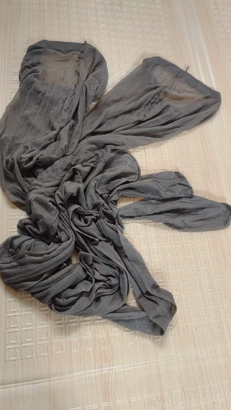 Photo gallery from 20231109, image 6