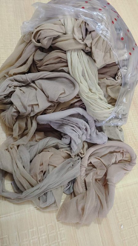 Photo gallery from 20240520, image 1