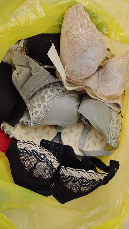 Photo gallery from 20230923, image 3