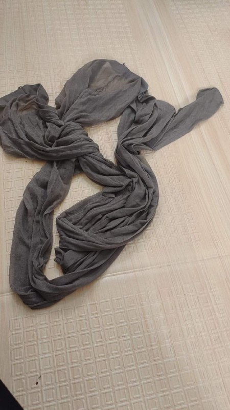 Photo gallery from 20231108, image 3