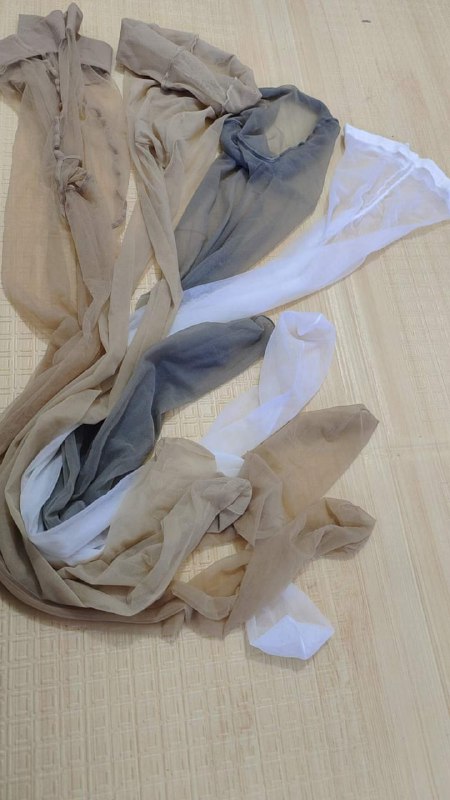 Photo gallery from 20240516, image 7