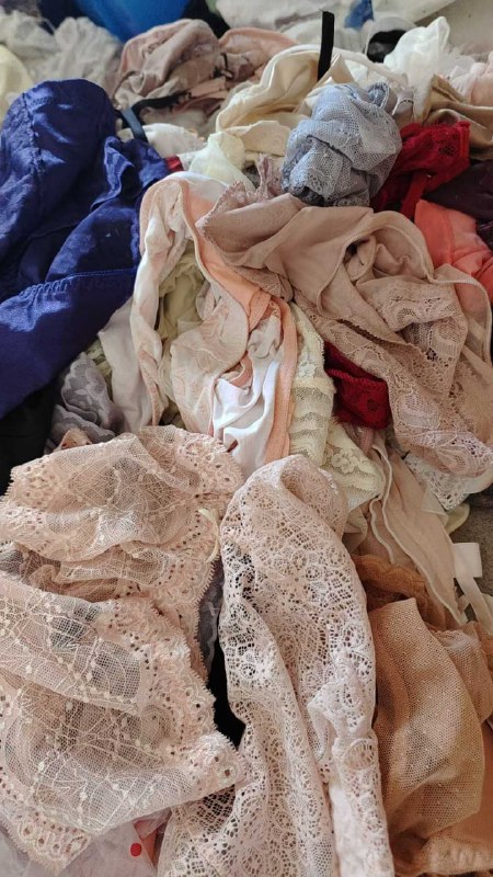 Photo gallery from 20250725, image 7