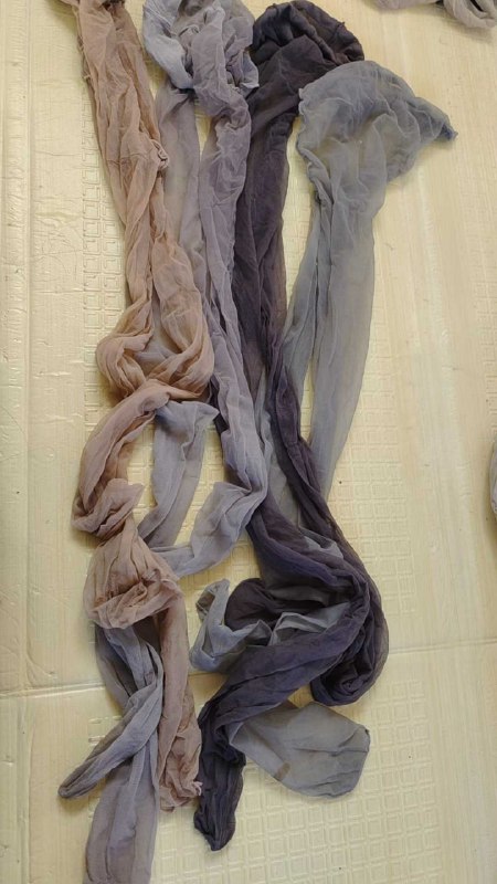 Photo gallery from 20251129, image 11