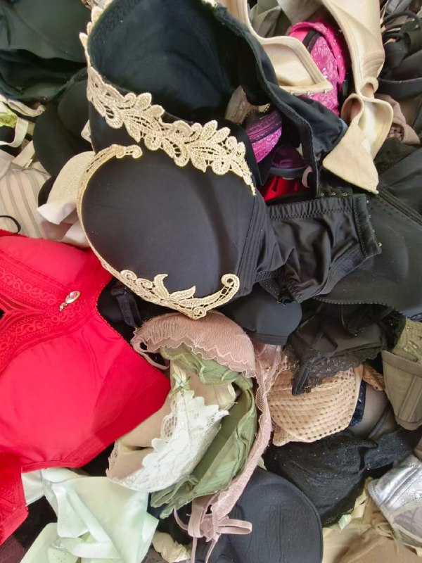 Photo gallery from 20240620, image 10