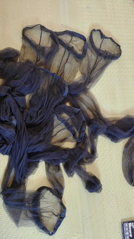 Photo gallery from 20251011, image 8