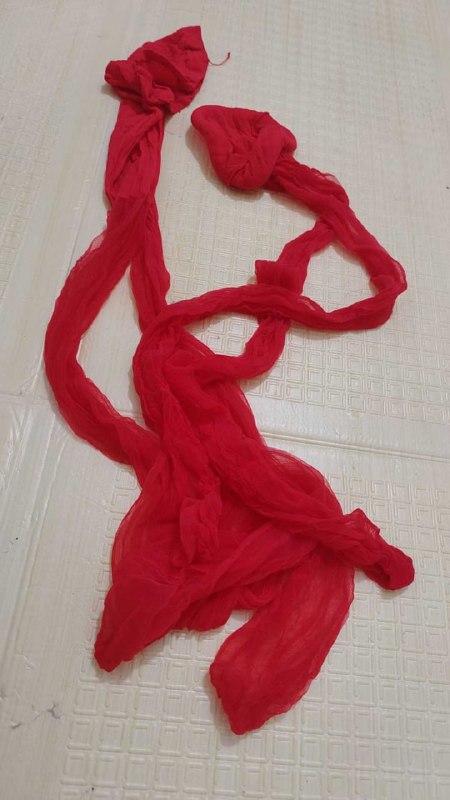 Photo gallery from 20250812, image 10