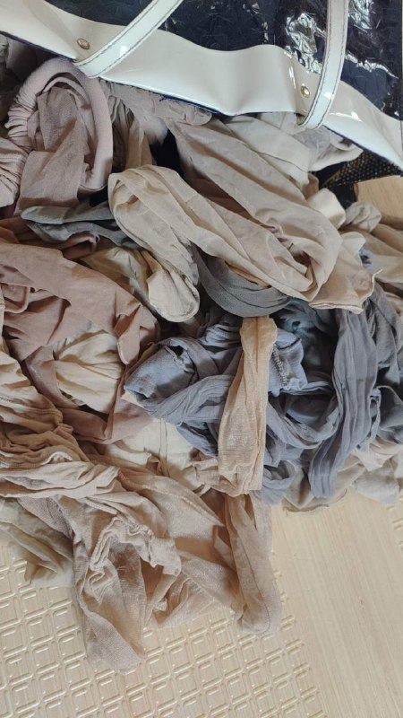 Photo gallery from 20230811, image 7