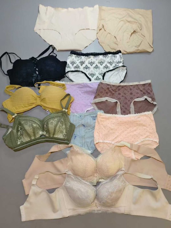 Photo gallery from 20251105, image 2