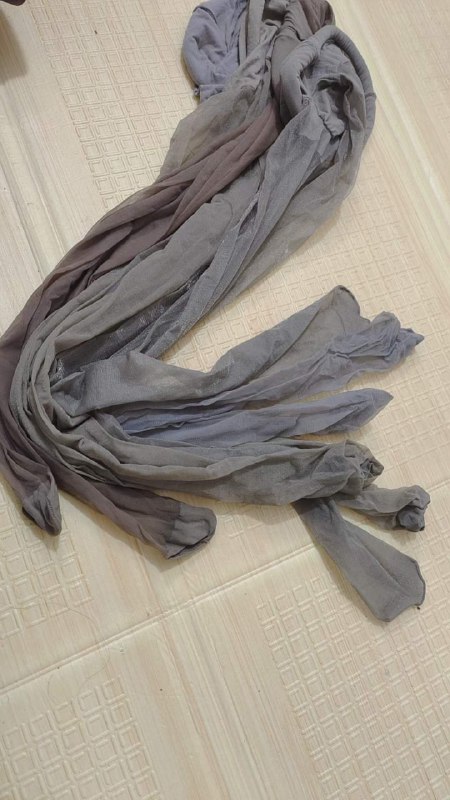 Photo gallery from 20240712, image 8