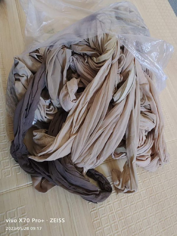 Photo gallery from 20230529, image 7