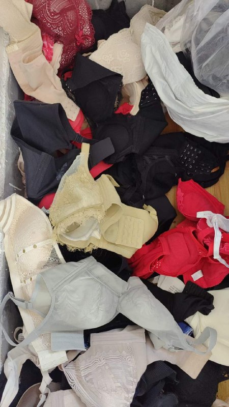 Photo gallery from 20240528, image 1