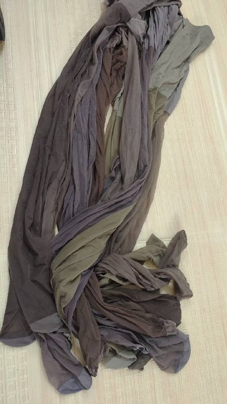 Photo gallery from 20240327, image 5