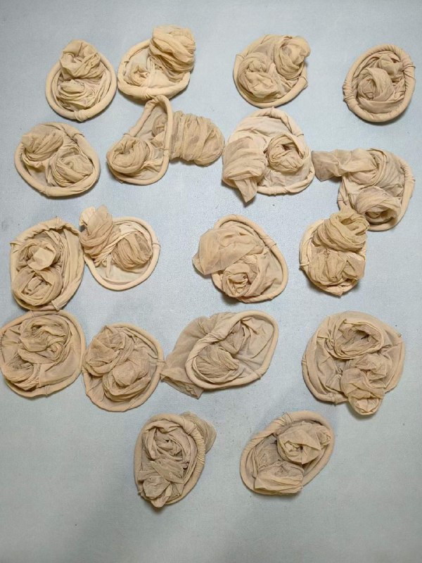 Photo gallery from 20231109, image 7