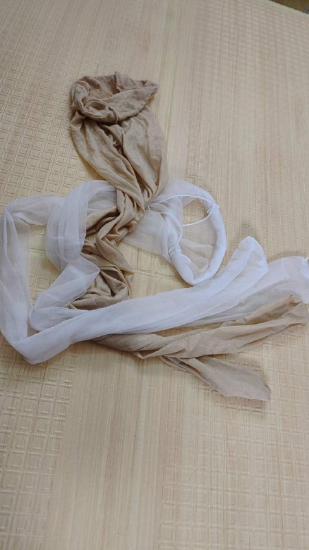 Photo gallery from 20231011, image 1