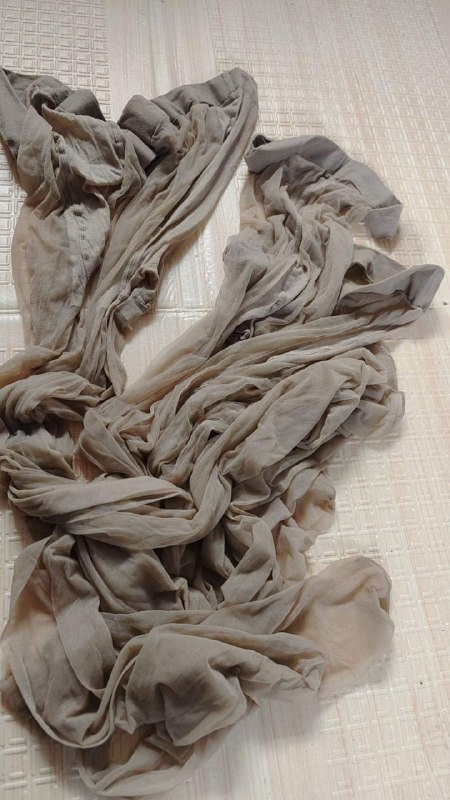 Photo gallery from 20240227, image 5