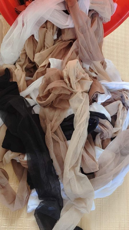 Photo gallery from 20231126, image 12