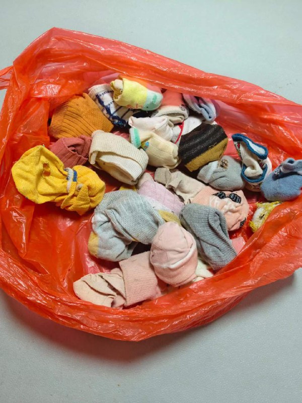 Photo gallery from 20231115, image 7