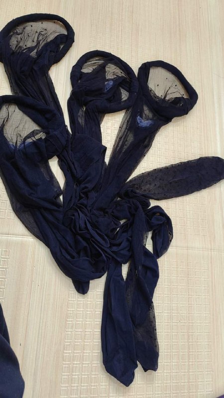 Photo gallery from 20240219, image 4