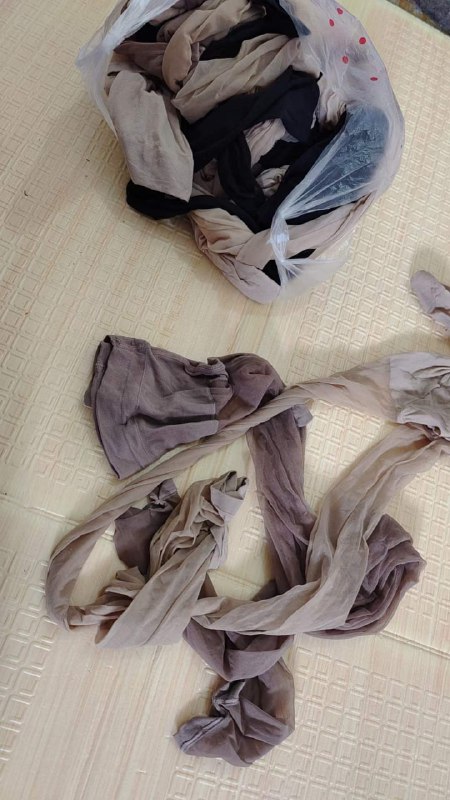 Photo gallery from 20230908, image 4