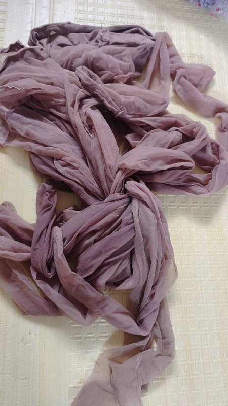 Photo gallery from 20250802, image 4