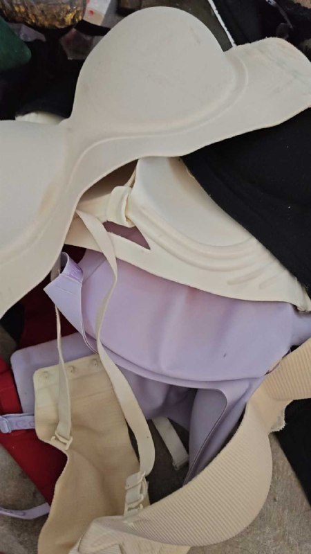 Photo gallery from 20260122, image 5