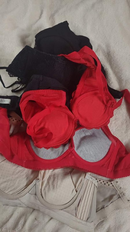 Photo gallery from 20230915, image 7