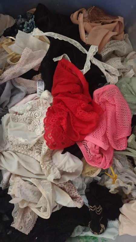 Photo gallery from 20231013, image 12