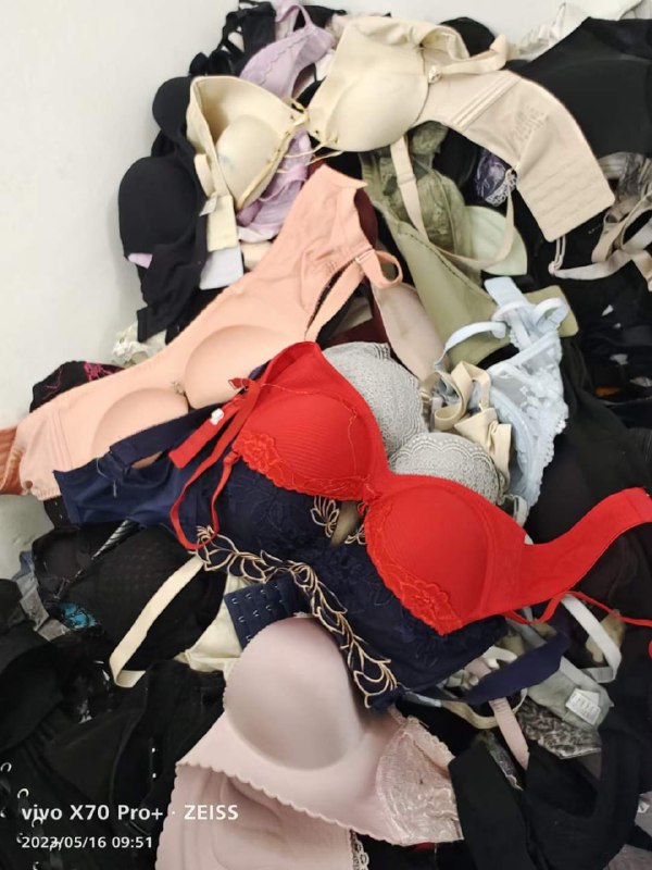 Photo gallery from 20230516, image 5