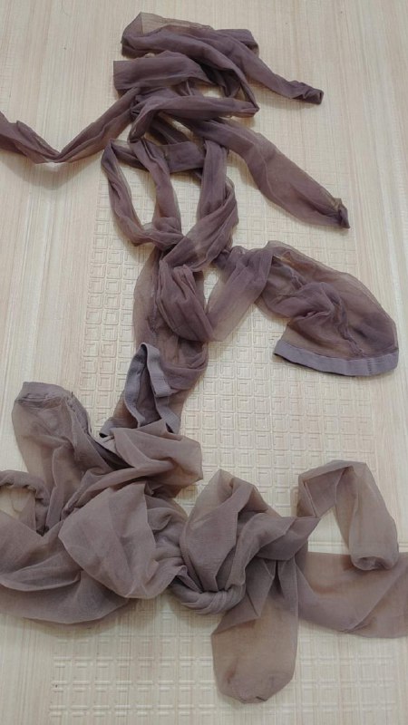 Photo gallery from 20240125, image 1