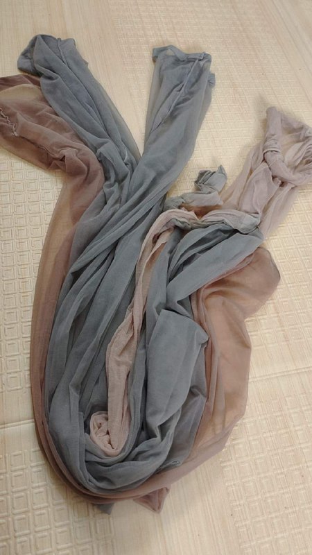 Photo gallery from 20231210, image 2