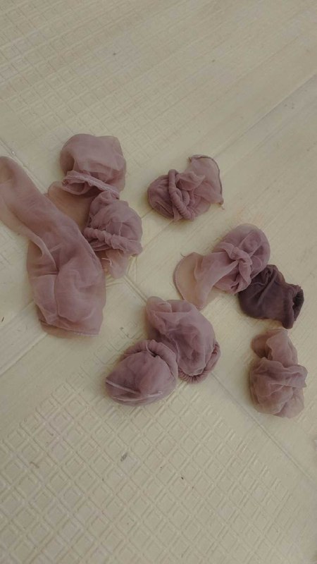 Photo gallery from 20250821, image 11