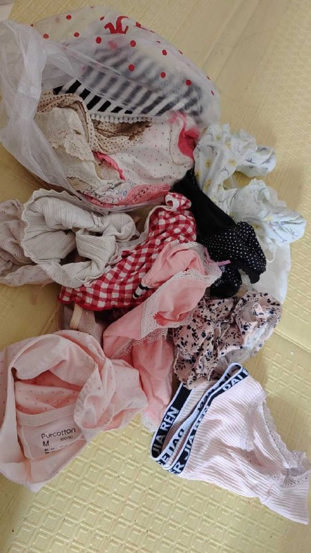 Photo gallery from 20250803, image 1