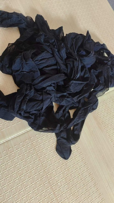 Photo gallery from 20230920, image 5