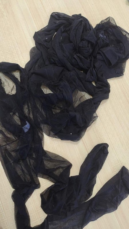 Photo gallery from 20240517, image 3