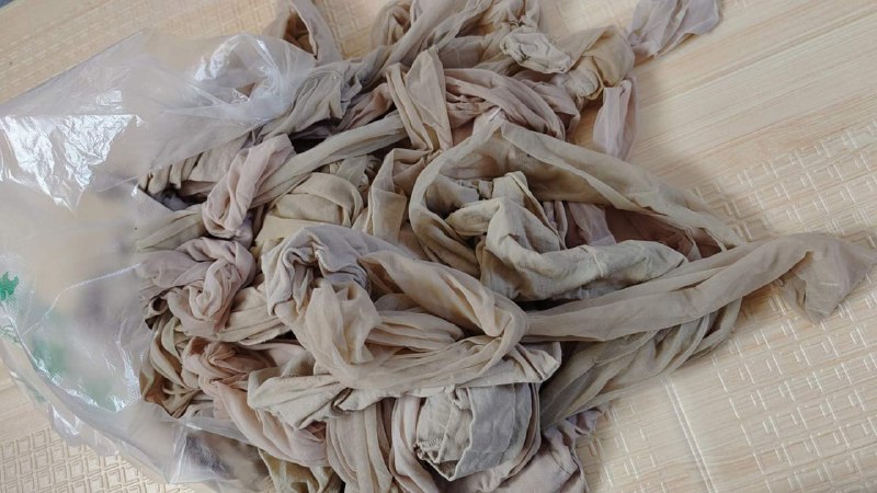 Photo gallery from 20231029, image 4