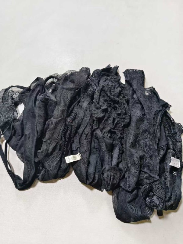 Photo gallery from 20250827, image 6