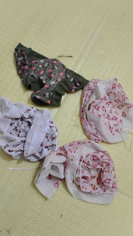 Photo gallery from 20251107, image 1