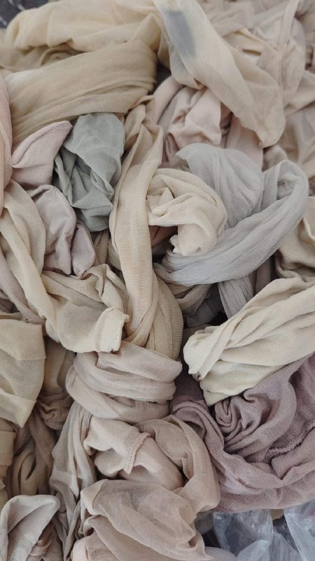 Photo gallery from 20240529, image 2