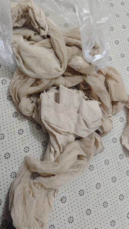 Photo gallery from 20240224, image 1