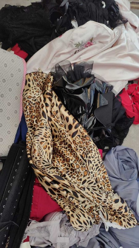 Photo gallery from 20250818, image 1