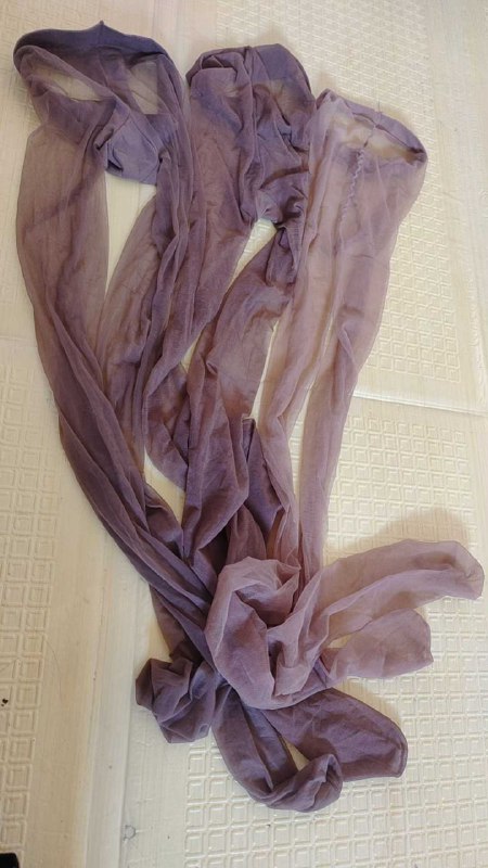 Photo gallery from 20250915, image 7