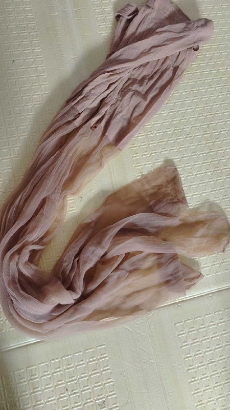 Photo gallery from 20250718, image 12