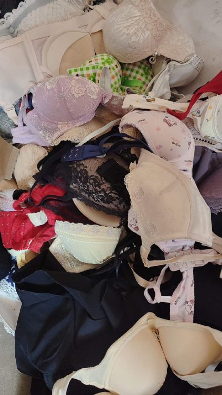 Photo gallery from 20240515, image 8