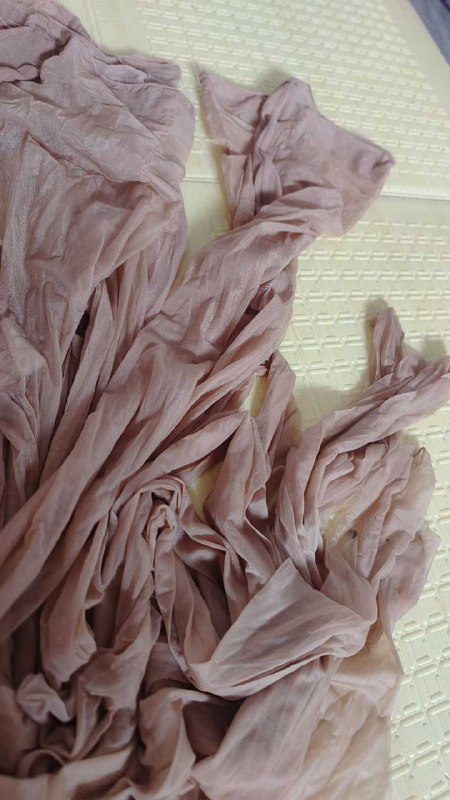 Photo gallery from 20250727, image 10