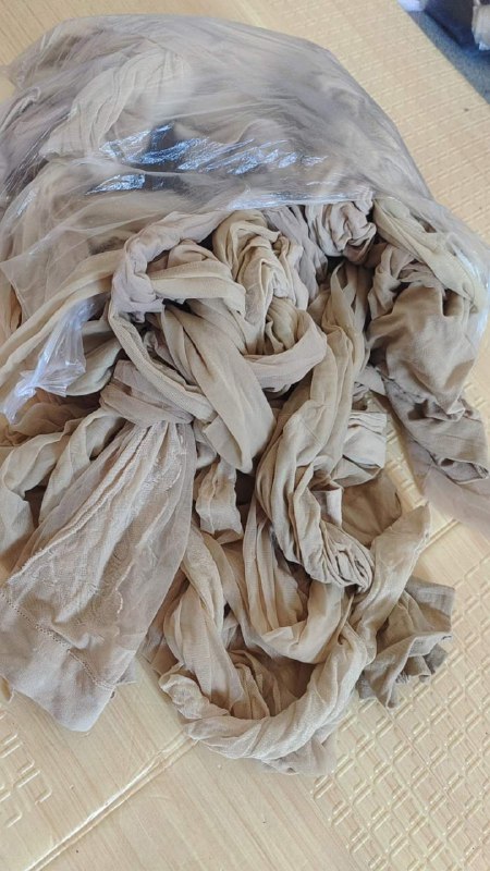 Photo gallery from 20230711, image 8